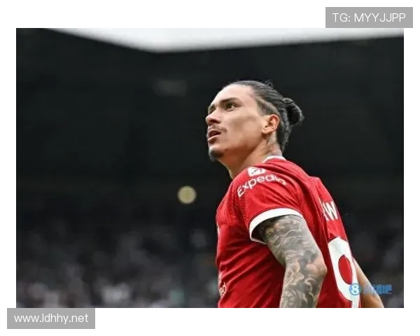 努涅斯终结效率与战术角色如何影响其表现稳定性? 努涅斯终结效率与战术角色如何影响其表现稳定性?