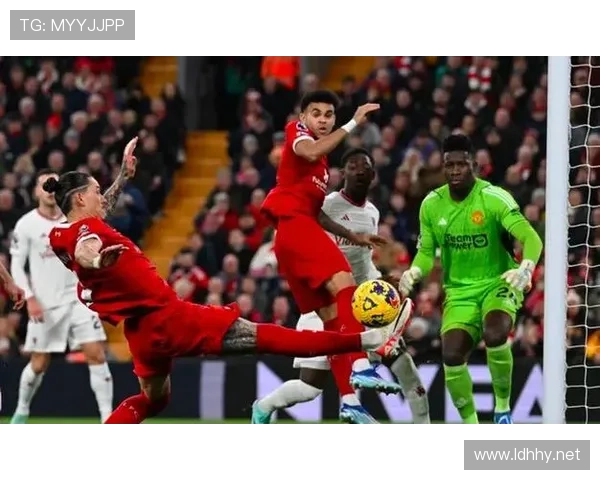 努涅斯 vs 霍伊伦：同代锋线潜力股，结构适配与发展上限差异分析