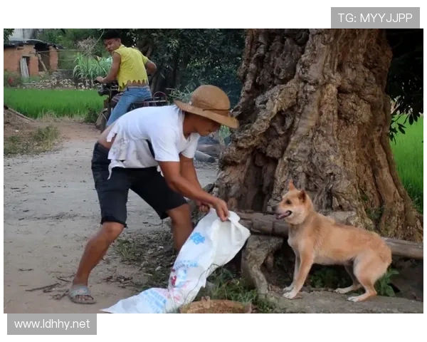 拉皮诺家的狗都比某些人挣得多