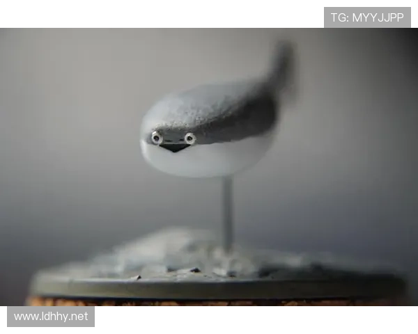 萨卡居然一天三顿牛排？这生活画风我跟不上了吧！